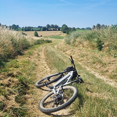 Circuit VTT-VTC n°12 (rouge) - Sur Reyssouze, les hauts de St Jean