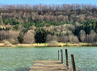 Balade au lac de Besain - 