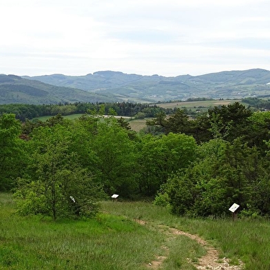 La Lande de Nancelle