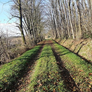 Sur les chemins de St Sulpice et St Didier d'Aussiat