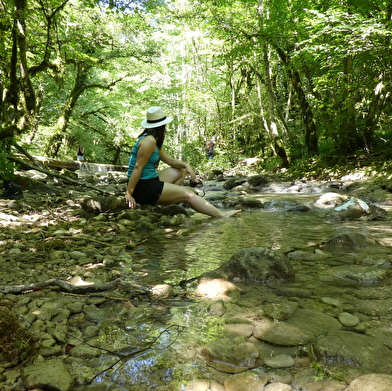 Sentier de balade : la Pernaz sauvage