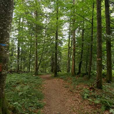 Randonnée - Les crêtes de la Clye