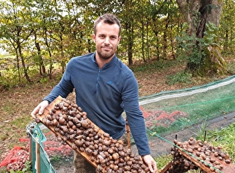 Goûter les croquilles à l'escargot -