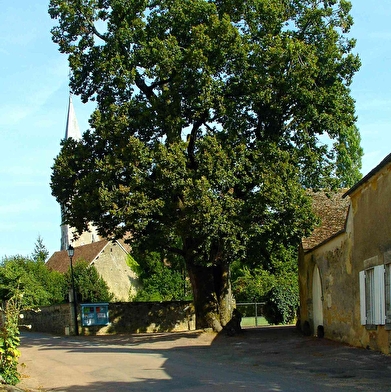 Panoramas et table d'orientation à Perreuse