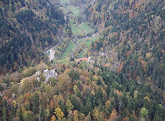 Consolation en automne - 