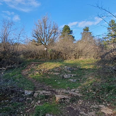 Vallée sèche du Revermont