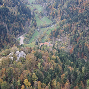Angélique