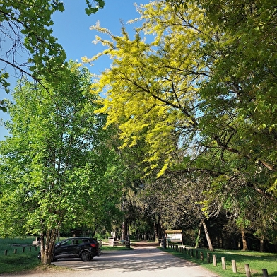 Parcours VTT 4 bleu - Le forêt de Rothonne - Espace FFC Ain Forestière