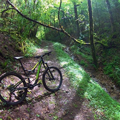 Circuit VTT n°5 (vert) - Forêt de la Rousse - Bois de Valuisant