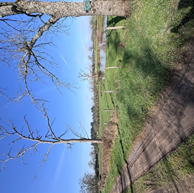 Balade Verte - Balade entre prairie, forêts et rivière (VSG 2)