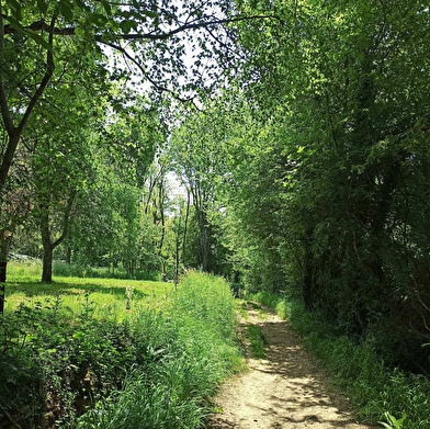 Circuit des Brosses au Château des Allymes