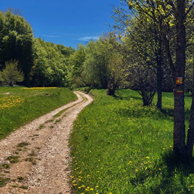 Parcours VTT 11 bleu - Le tour de la Chèvre - Espace FFC Ain Forestière