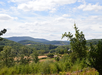 Voie celte Laizy  - LAIZY