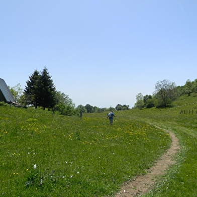 Randonnée pédestre : Le circuit des Scioux