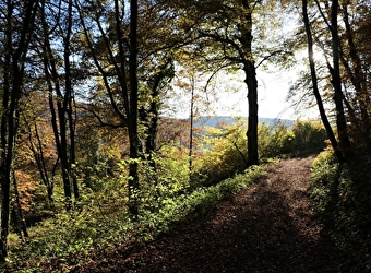 Un écrin de verdure sur les flancs du Lomont - 