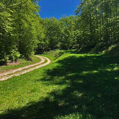 Grandes Traversées du Jura (GTJ) : Itinéraire VTT de Mandeure à Culoz via La Praille sur le Plateau d'Hauteville