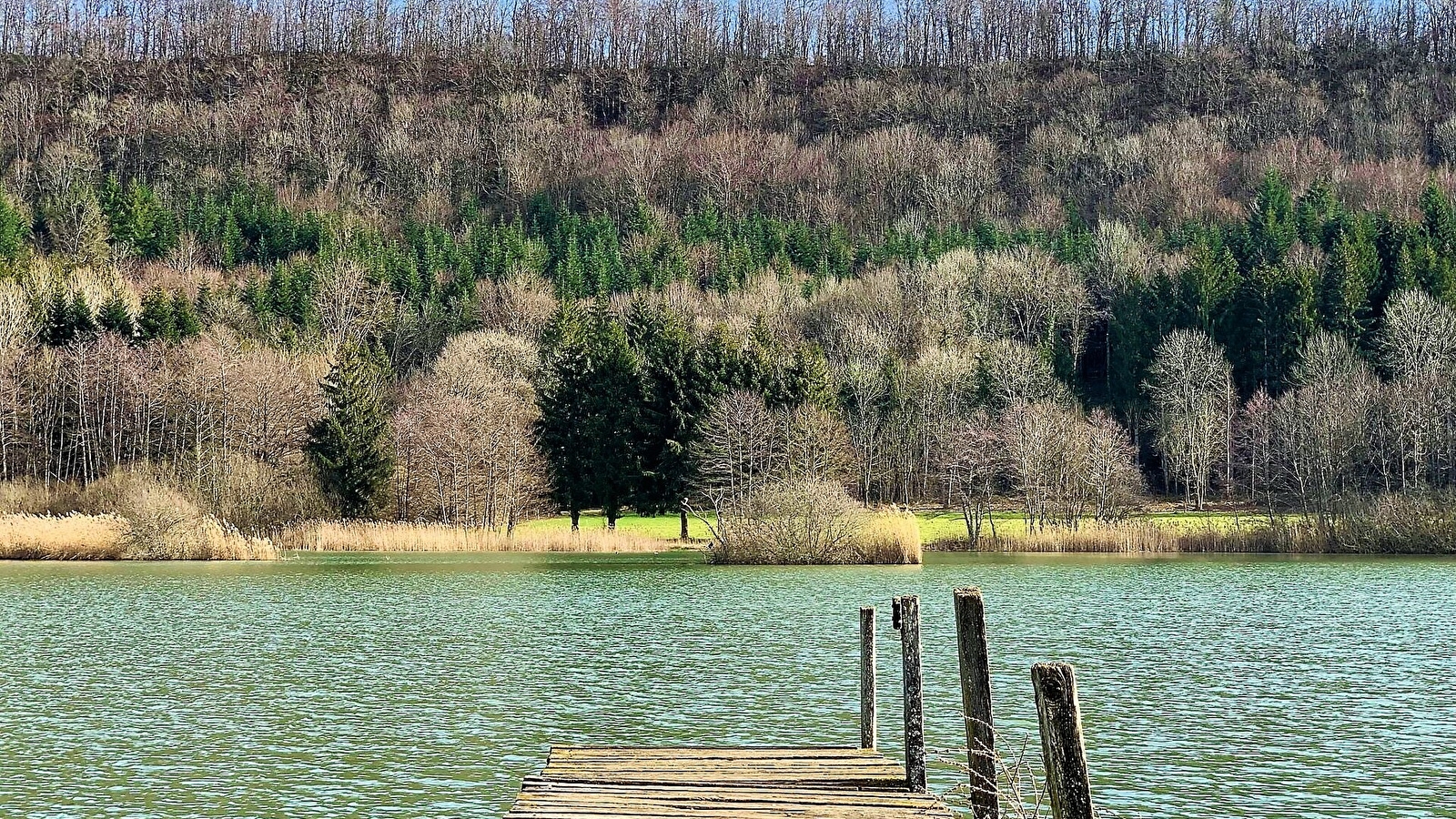 Balade au lac de Besain