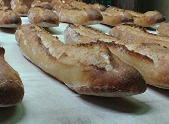 Une boulangerie aux milles odeurs -