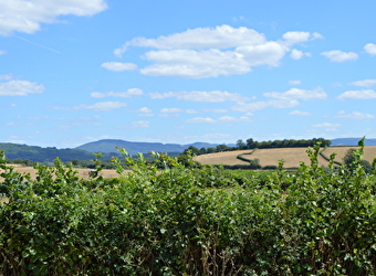 Sur les Hauteurs de Laizy - LAIZY