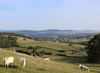 La Vallée de l'Arroux - ETANG-SUR-ARROUX
