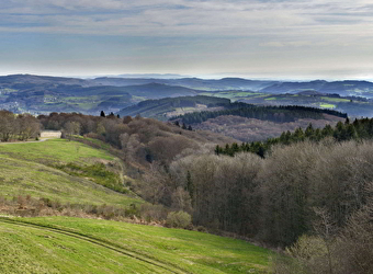 La Châtaigneraie - SAINT-LEGER-SOUS-BEUVRAY