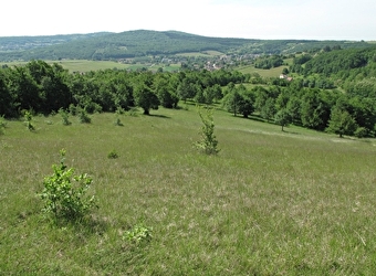La Boucherette - LUGNY
