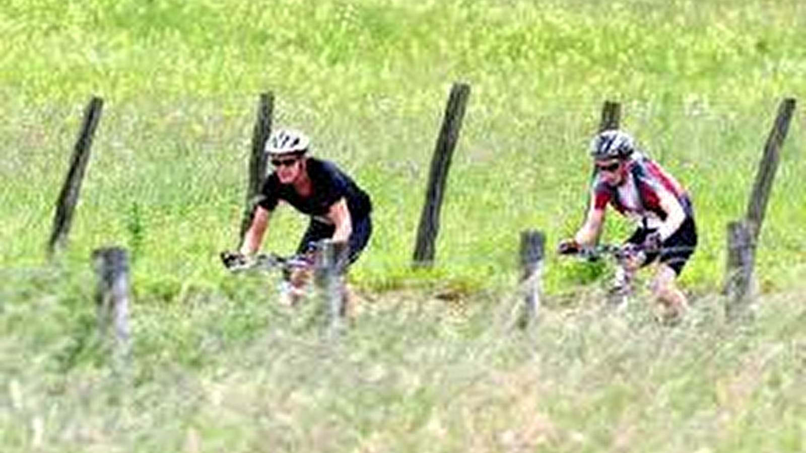 VTT dans les Monts de Gy : Circuit 56 'Le bois de Natoy'