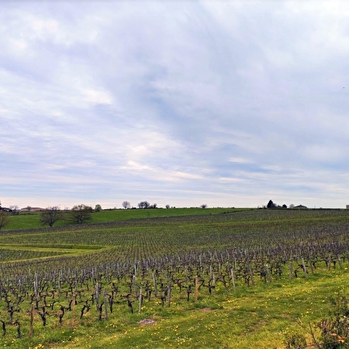 Circuit de randonnée : Circuit des coteaux à Livry