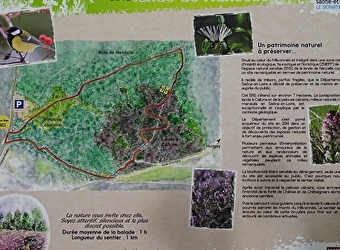 La Lande de Nancelle - LA ROCHE-VINEUSE
