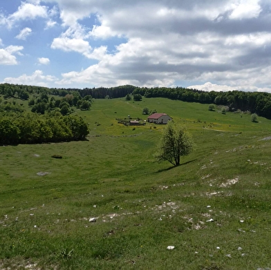 L'alpage du Retord
