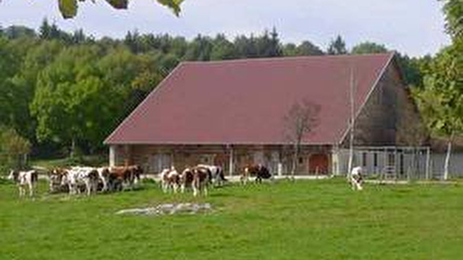 Le sentier de Cessay