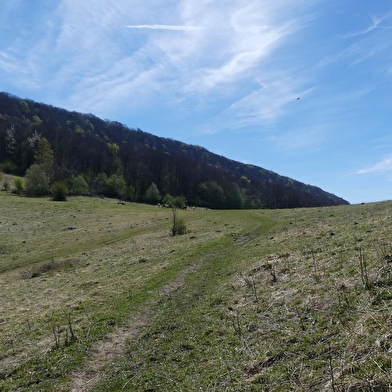 Mont Nivigne et Grotte à l'Ours