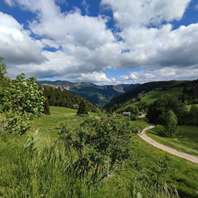 Circuit équestre des Montagnes du Haut-Jura