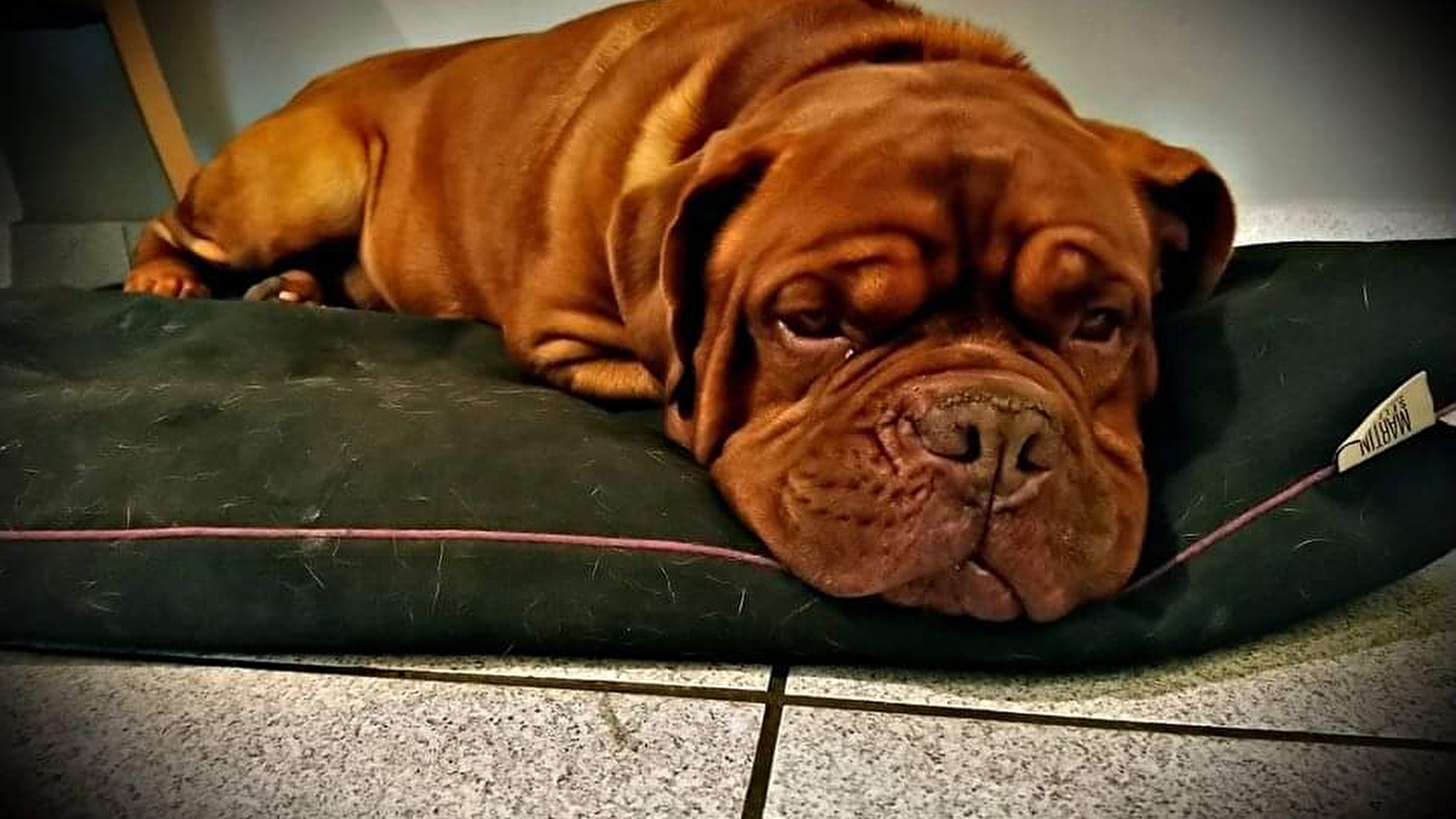 Bienvenue chez Bruno