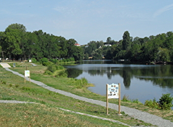 Sentier d'interprétation de la Vieille Loire  - DECIZE