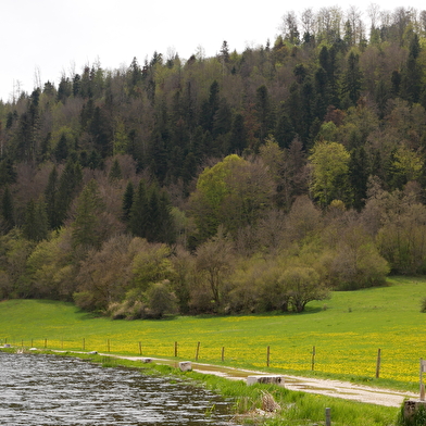 La boucle d'initiation du Tour des marais - Parcours marche nordique n°10