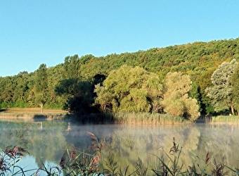 Le sentier du Marais d'Andryes  - ANDRYES