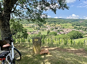 CycloRoute71 - Etape 12 de Cluny à Mâcon - CLUNY