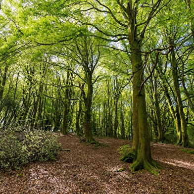 Tour du Morvan des sommets