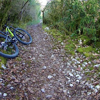 Circuit VTT n°1 (noir) - Chapelle de Montfort - Refuge du Mont-Myon