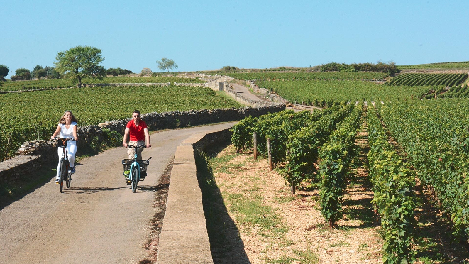 La Voie des Vignes : de Dijon à Santenay