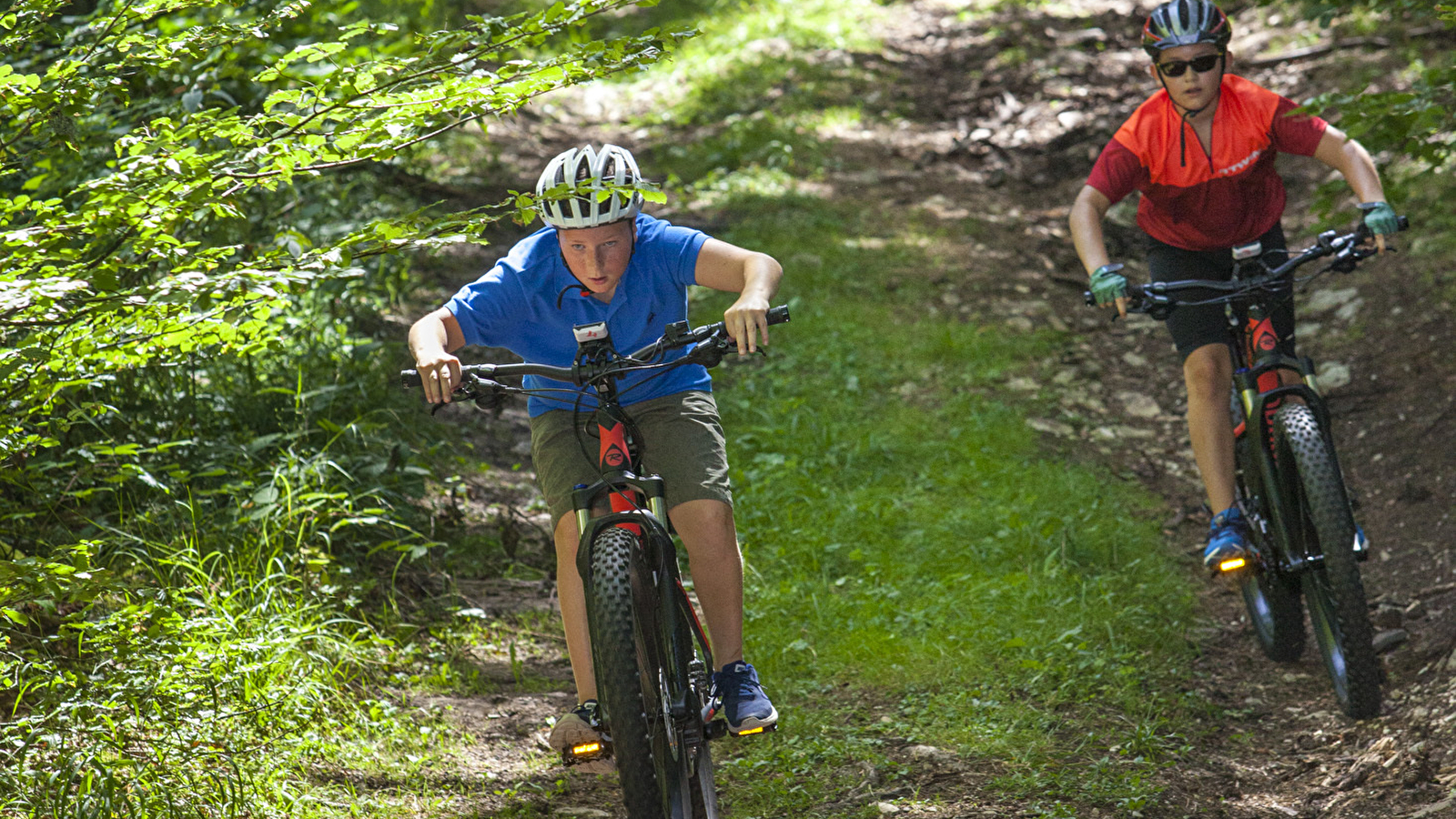 Parcours VTT 29 noir - Tour de Cruchon - Espace FFC Ain Forestière