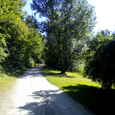 Sentier vélo : de Marcilleux à St-Sorlin-en-Bugey