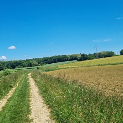 Circuit VTTAE n°27 (noir) - Les domaines de Bresse