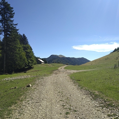 Parcours VTT 16 noir - Des Plans d'Hotonnes au Grand Colombier - Espace FFC Ain Forestière