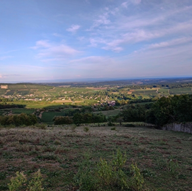 Le Val d'Azé, entre vignes et bocages