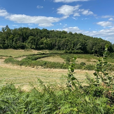 Moulin neuf 