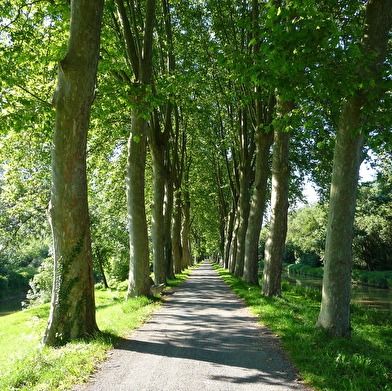 Circuit randonnée: Au fil de l'eau