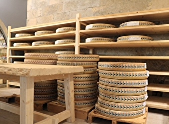 L'art de fabriquer le Comté  - 