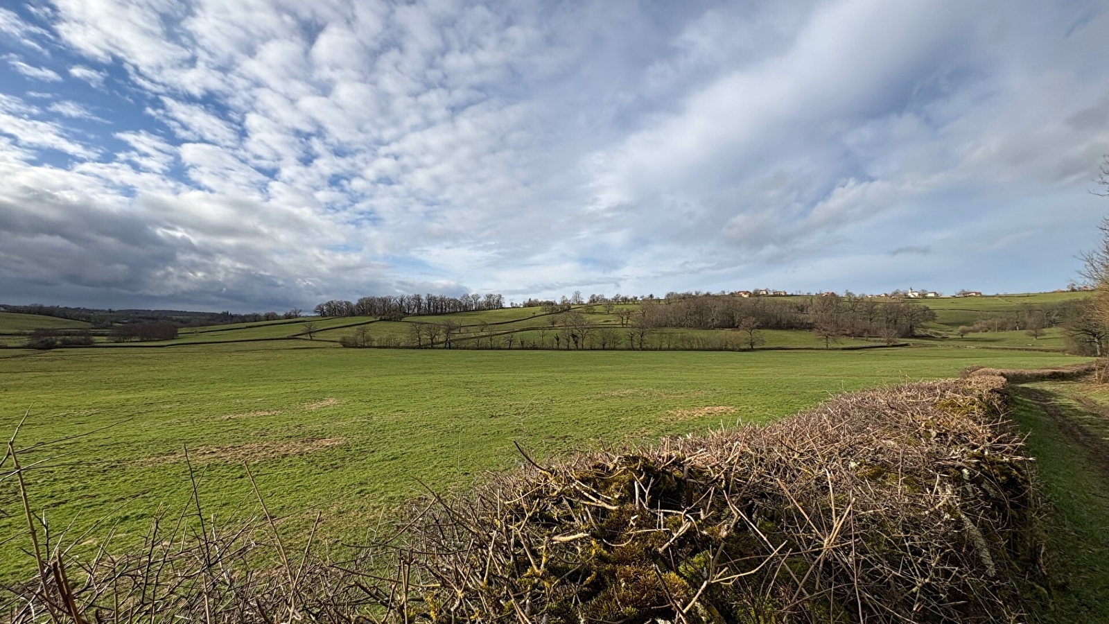 Balade Verte - Sentier panoramique (PZ1) 